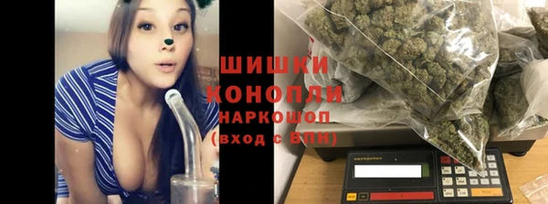 spice Гусев