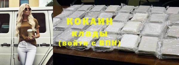 spice Гусев