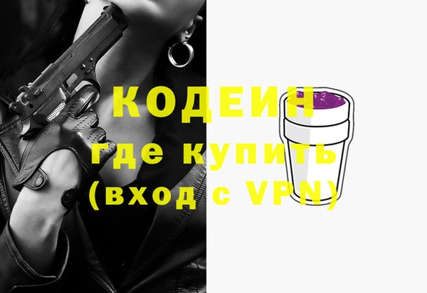 spice Гусев