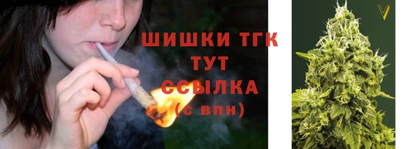 spice Гусев