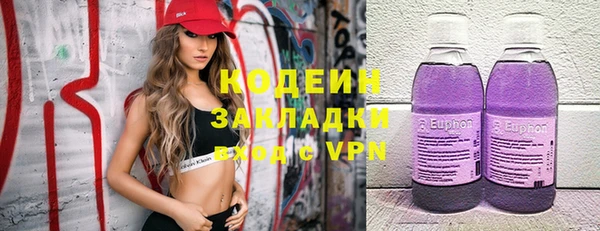 spice Гусев
