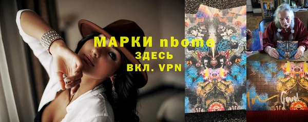spice Гусев