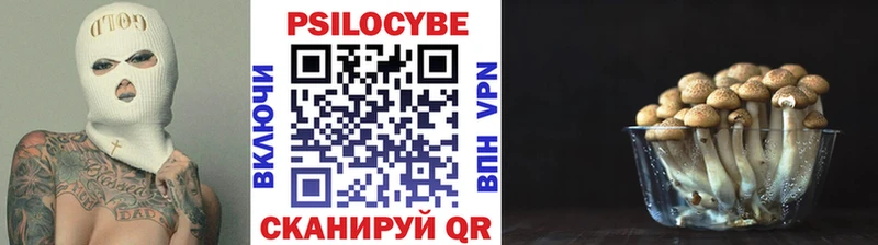Псилоцибиновые грибы GOLDEN TEACHER  Купить закладки  Кологрив 